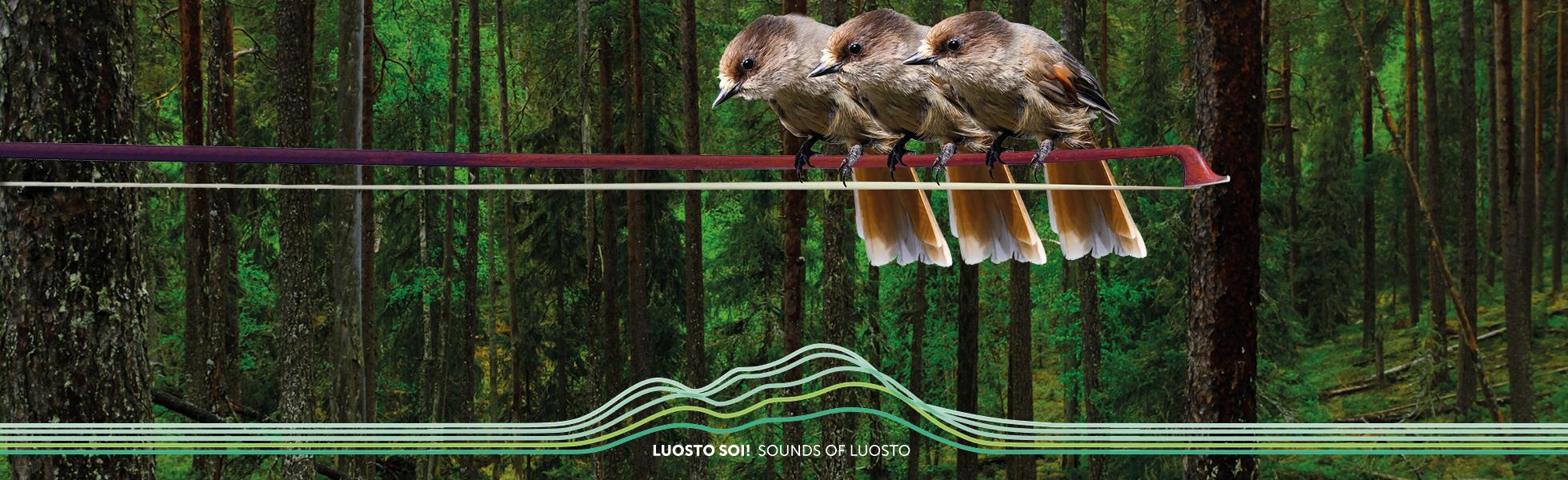 Next summer’s Sounds of Luosto festival expands and will host two orchestras!