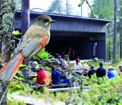 Kuukkelin konserttivinkki – Pääkonsertti ” Sammumaton” 2.8.
