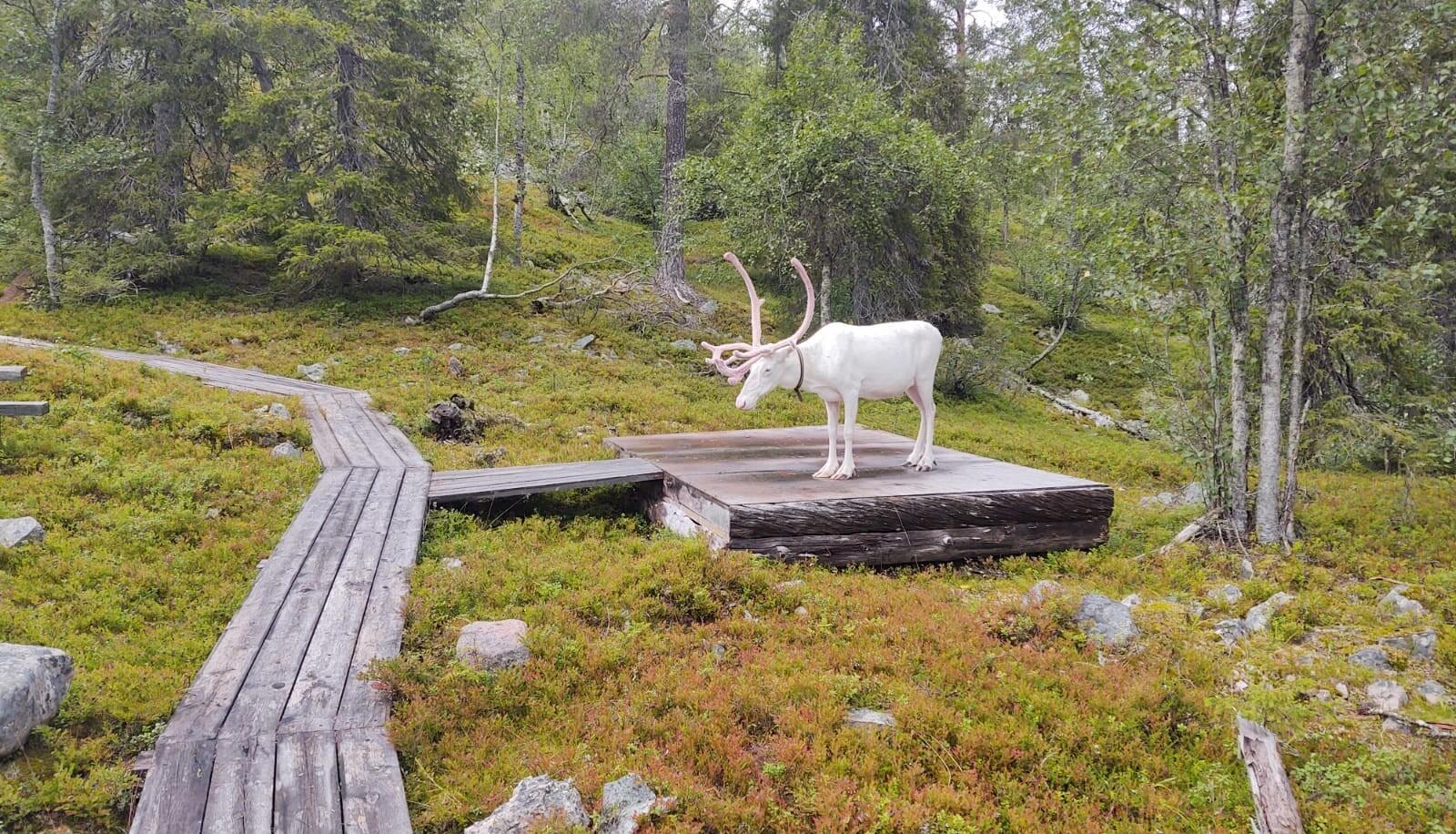 Ajankohtaista nyt