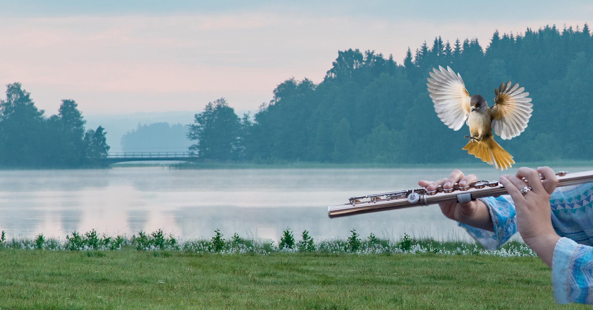 Sounds of Luosto 6.–9.8.2026 – program published and tickets on sale!